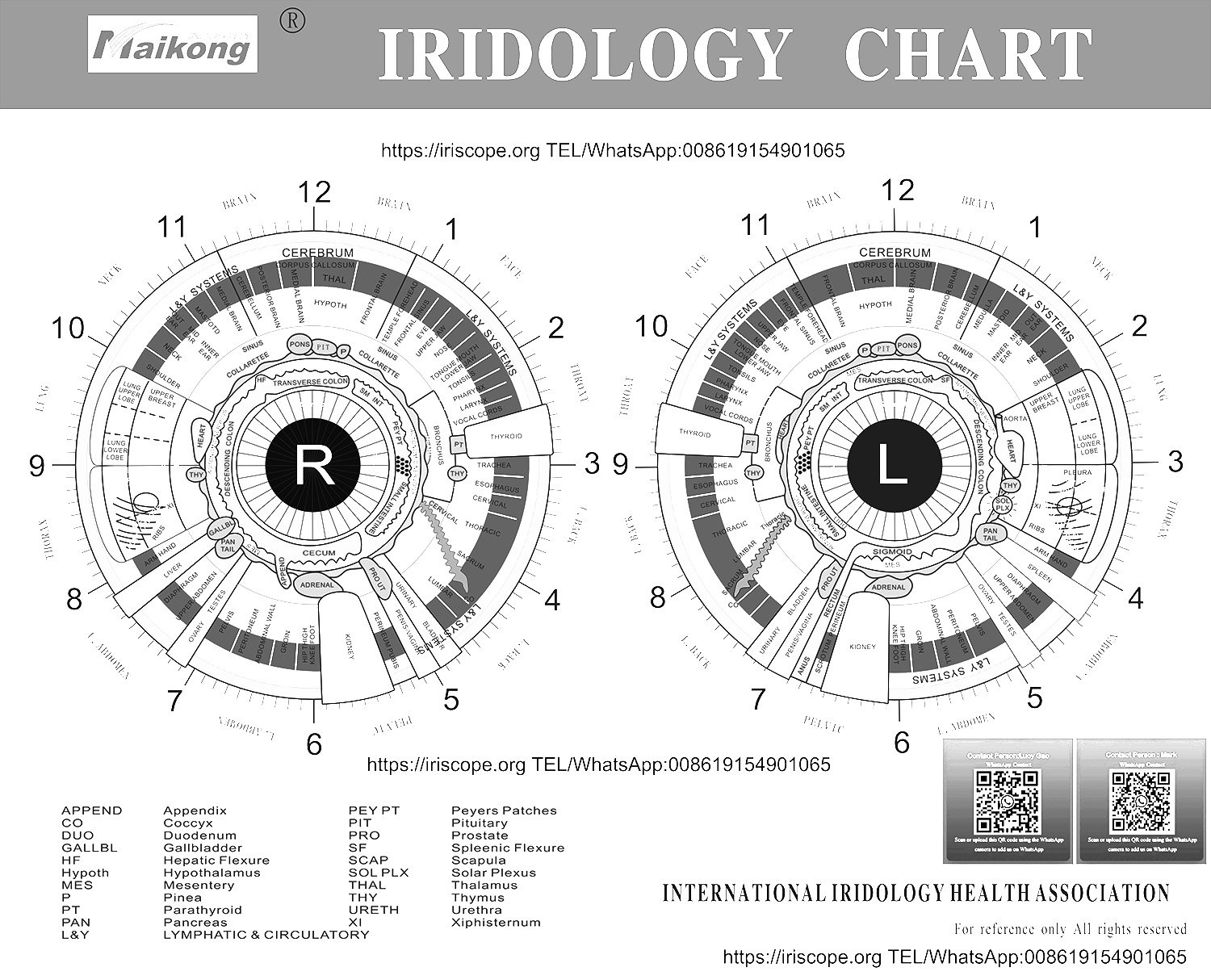 Iriscopie Kaarten & Diagrammen